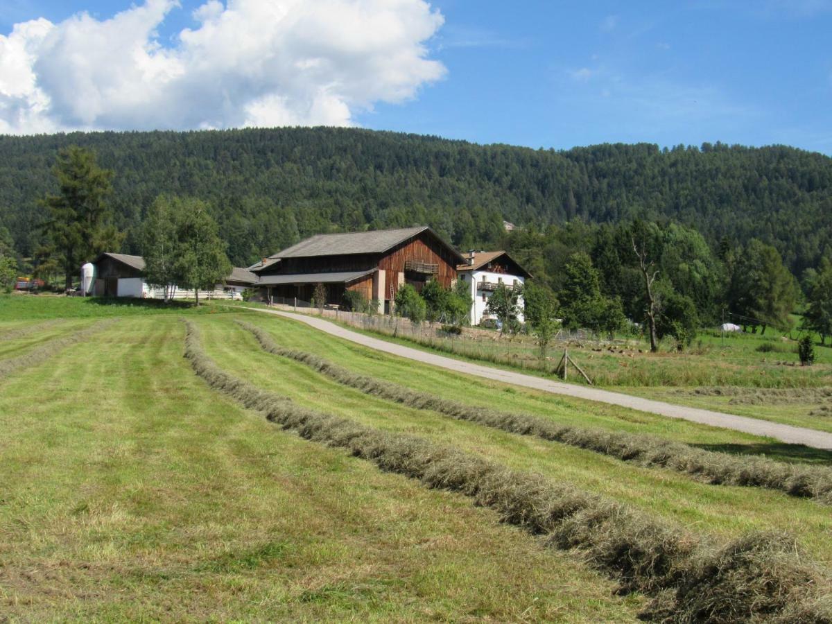 Tielerhof Apartment Aldino Exterior photo